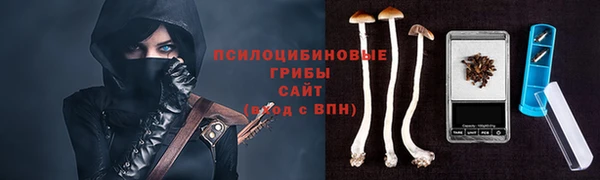 стаф Алзамай
