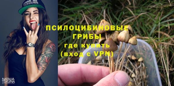 гидропоника Абаза