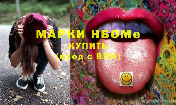 стаф Алзамай