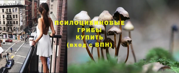 гидропоника Абаза
