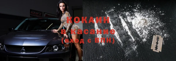 стаф Алзамай
